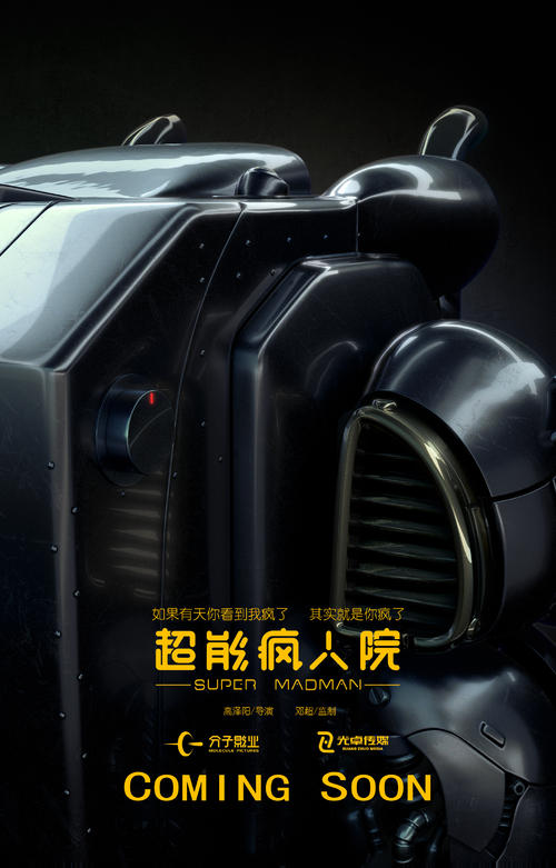 办假的伊利诺伊州